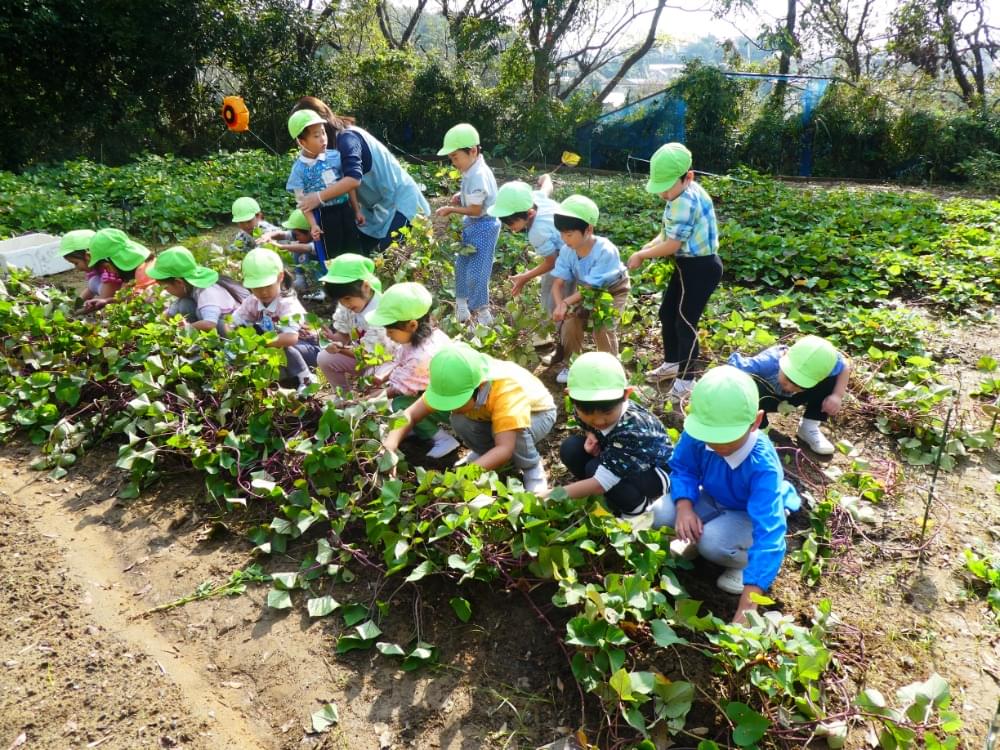 土と保育に求めていること